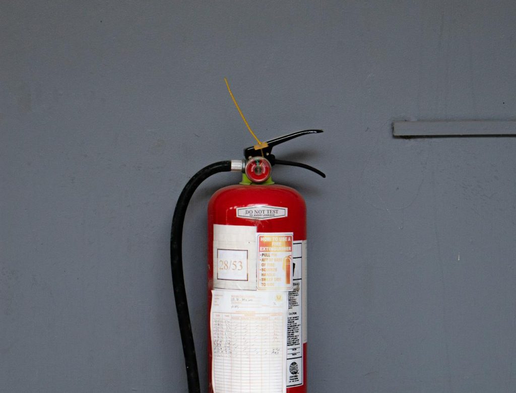 pexels-ian-panelo-4805958